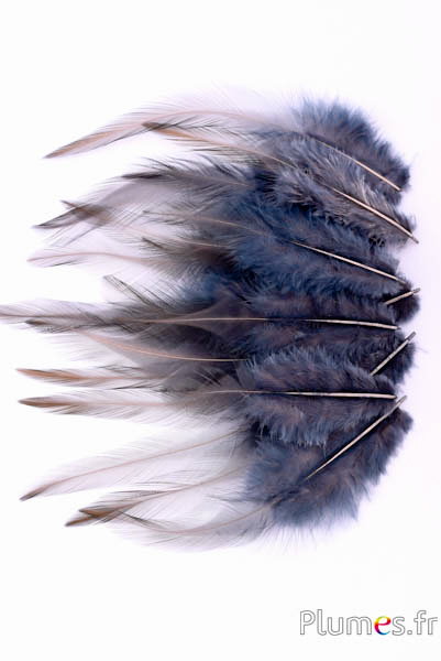 Coq - 8-12 cm - anthracite